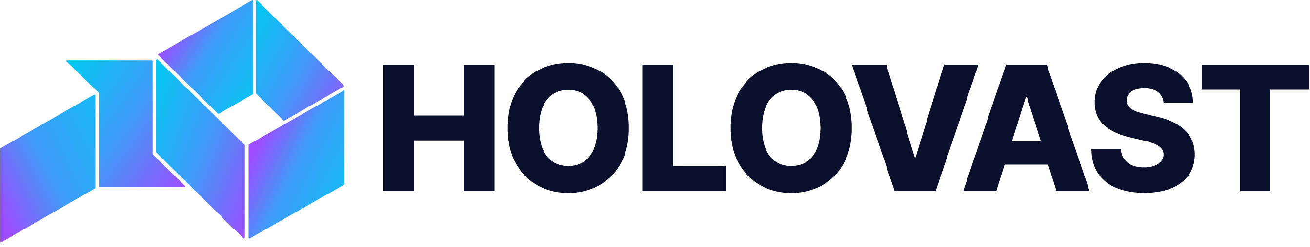 Holovast